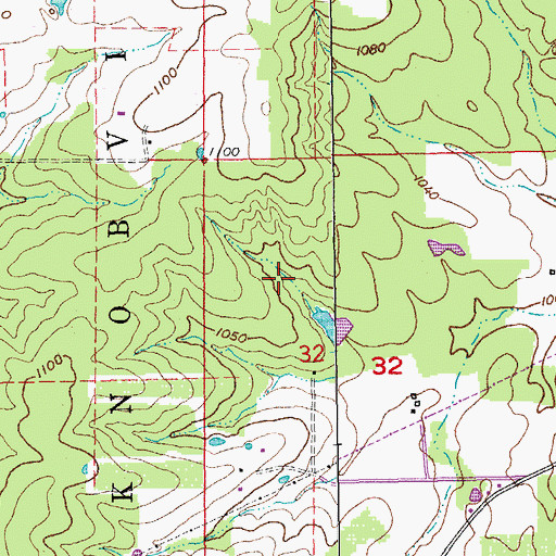 Topographic Map of Preston Iron Mine, MO