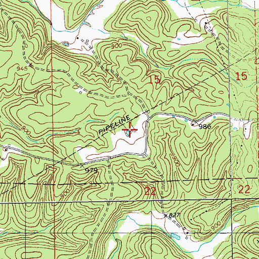 Topographic Map of Ransom Lead Diggings, MO