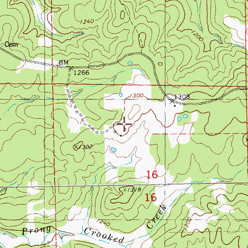 Topographic Map of Carson Iron Banks, MO