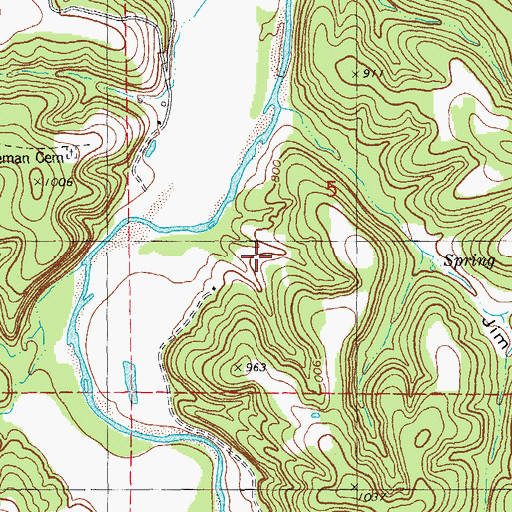 Topographic Map of Trask and Garrisons Lead Diggings, MO