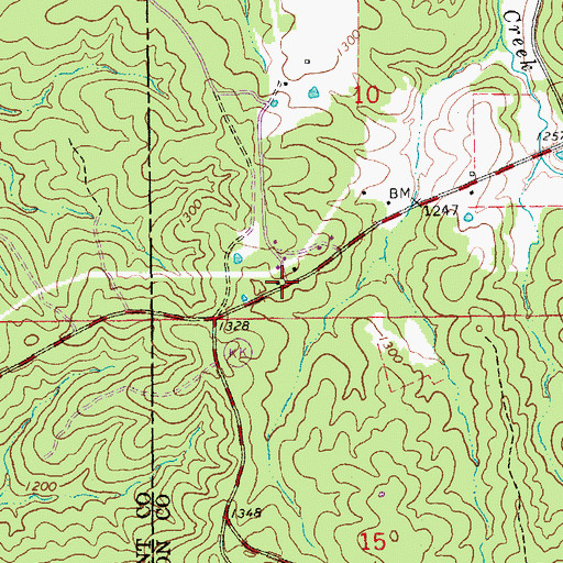Topographic Map of Red Point, MO