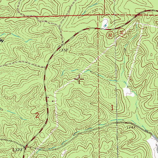 Topographic Map of Rogers Iron Bank, MO