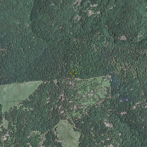 Aerial/Satellite Image of Victory Mountain, MO