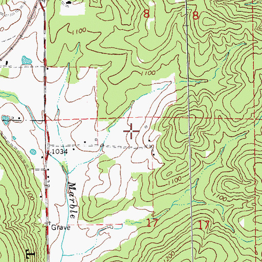 Topographic Map of Leeds Hill Iron Bank, MO