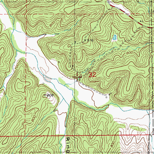Topographic Map of Bolton Hollow, MO