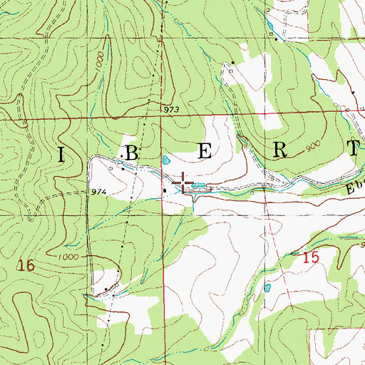 Topographic Map of John Flynns Sawmill, MO