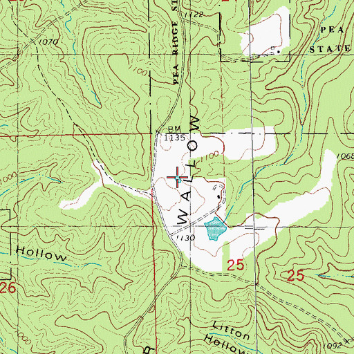 Topographic Map of Bear Wallow, MO