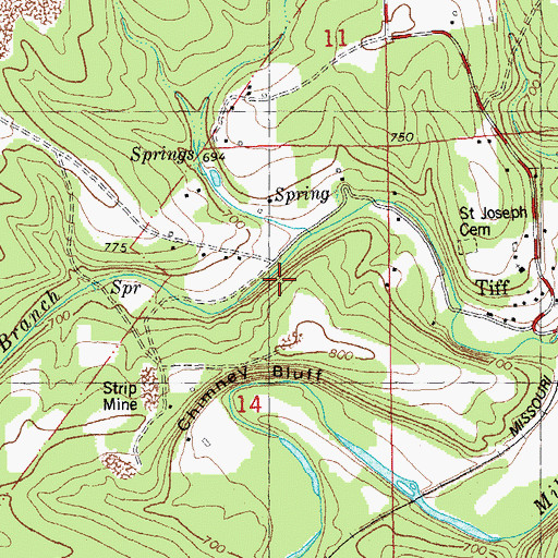 Topographic Map of Pashea Bluff, MO