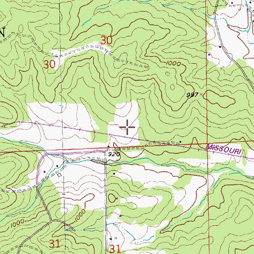 Topographic Map of Negro Lead Diggings, MO
