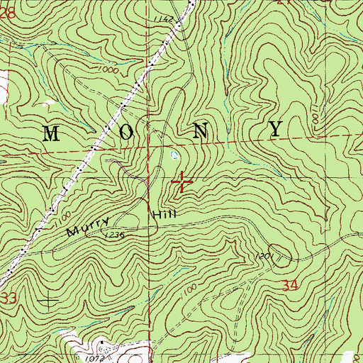 Topographic Map of Coffee-Pot Lead Diggings, MO