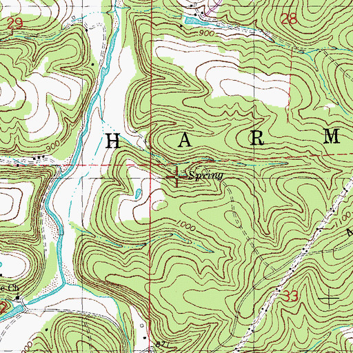 Topographic Map of Iron Ore Spring, MO
