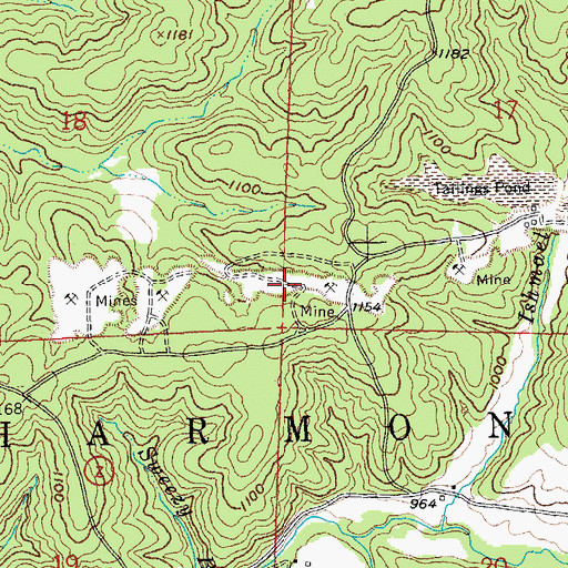 Topographic Map of Sweassey Lead Diggings, MO