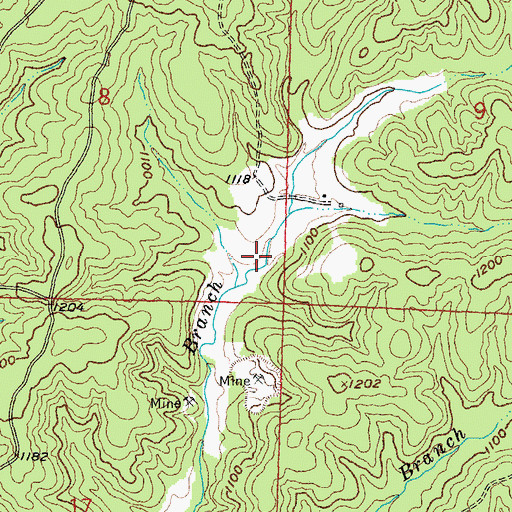 Topographic Map of Ismael Lead Diggings, MO