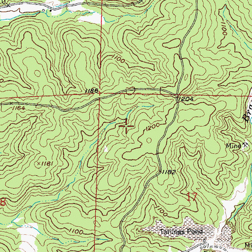 Topographic Map of Clemins Lead Diggings, MO
