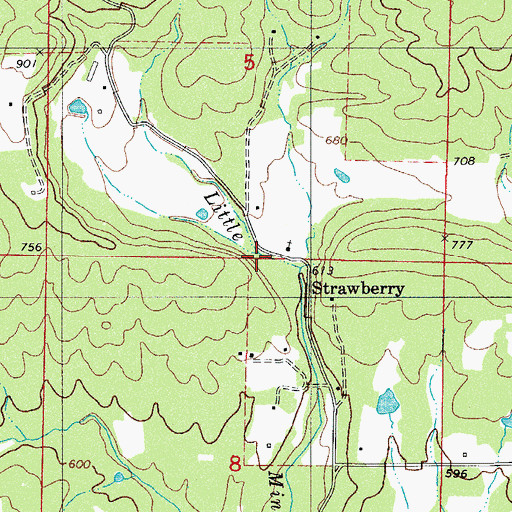 Topographic Map of Strawberry School, AR