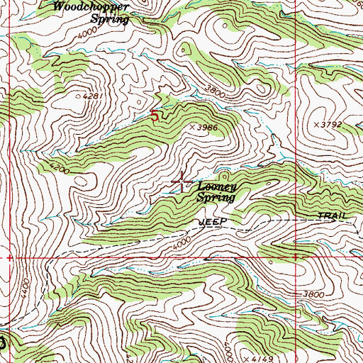 Topographic Map of Looney Spring, AZ