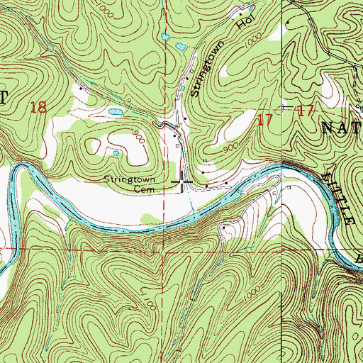 Topographic Map of Stringtown Hollow, AR