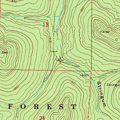 Topographic Map of Stringum Hollow, AR