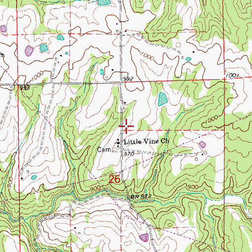 Topographic Map of Little Vine Hill, MO