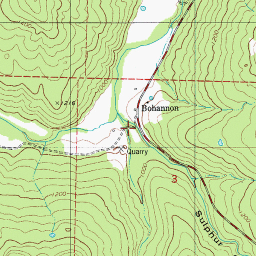 Topographic Map of Sulphur Springs Hollow, AR
