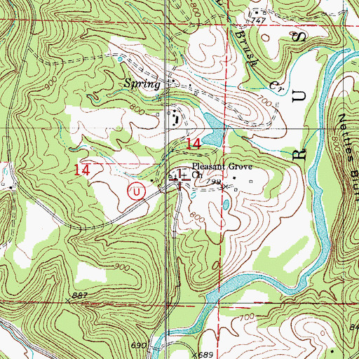 Topographic Map of Pleasant Grove, MO