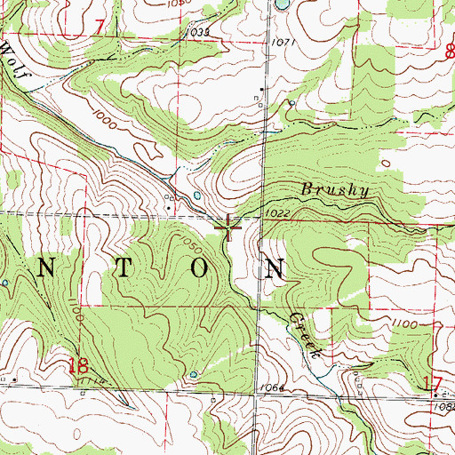 Topographic Map of Brushy Creek, MO