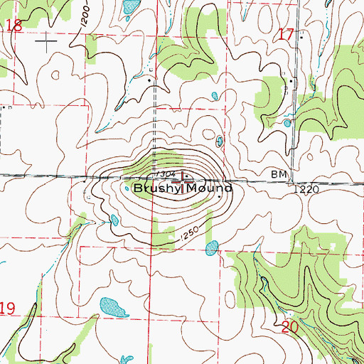 Topographic Map of Brushy Mound, MO