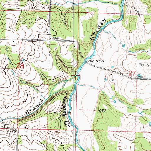 Topographic Map of Buffalo Branch, MO