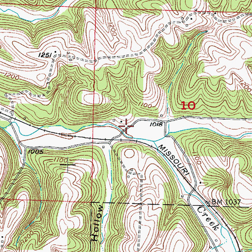 Topographic Map of Carico, MO
