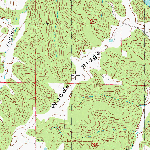 Topographic Map of Woods Ridge, MO