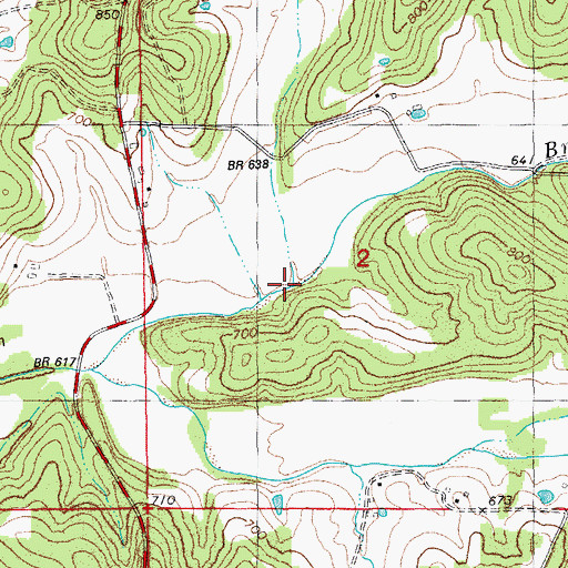 Topographic Map of Mickey Branch, MO