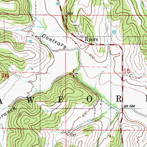 Topographic Map of Ferguson Branch, MO