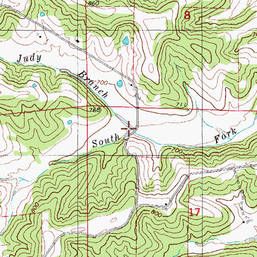 Topographic Map of Judy Branch, MO