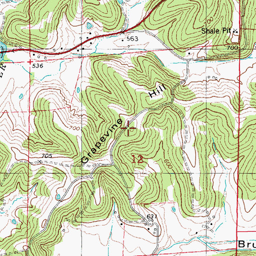 Topographic Map of Grapevine Hill, MO