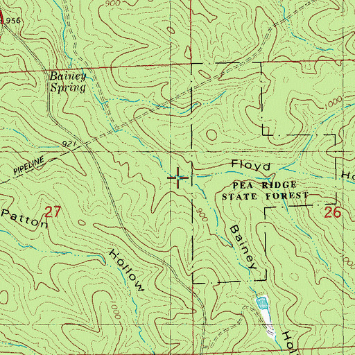 Topographic Map of Floyd Hollow, MO