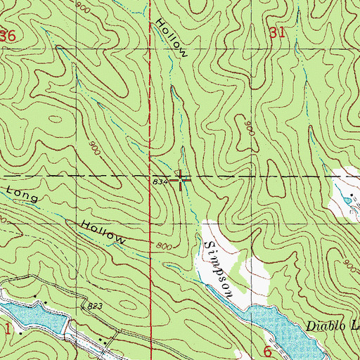 Topographic Map of Litton Hollow, MO