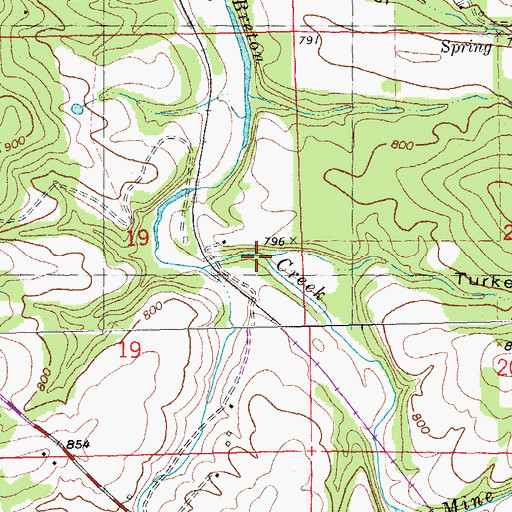 Topographic Map of Turkey Hollow, MO