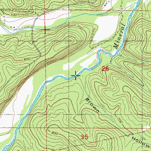 Topographic Map of Brown Hollow, MO