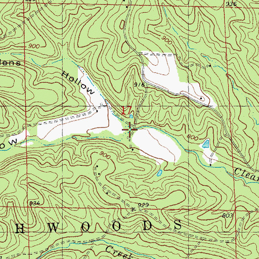 Topographic Map of Emily Hollow, MO