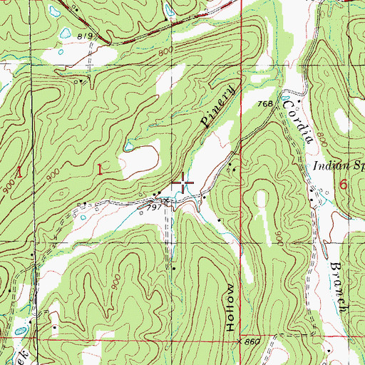Topographic Map of Hays Hollow, MO