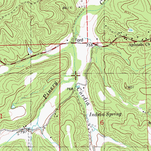 Topographic Map of Cordia Branch, MO