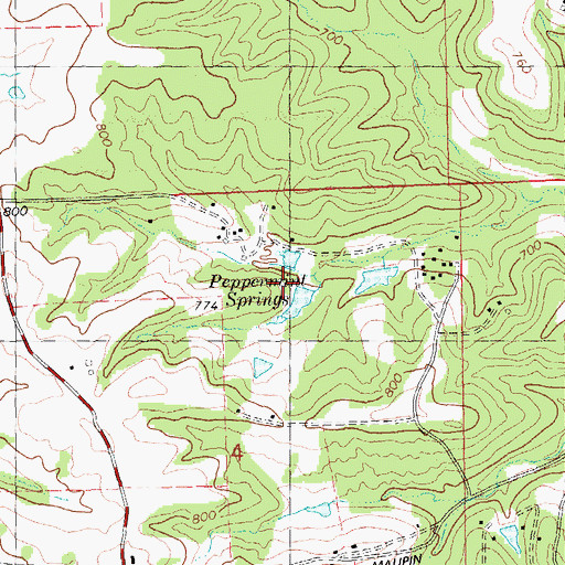 Topographic Map of Peppermint Springs, MO