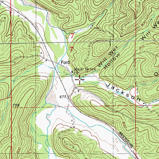 Topographic Map of Will Wet Hollow, MO