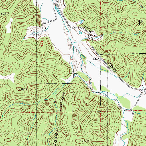 Topographic Map of Granddaddy Hollow, MO