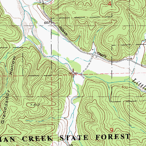 Topographic Map of Simmons Hollow, MO