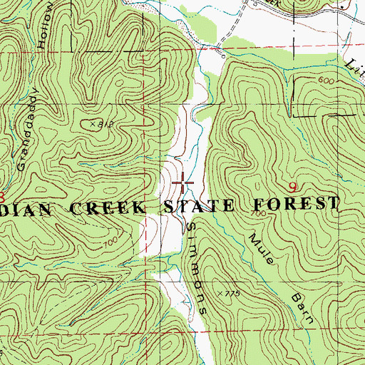 Topographic Map of Mule Barn Hollow, MO