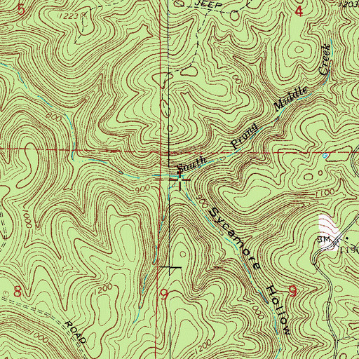 Topographic Map of Sycamore Hollow, AR