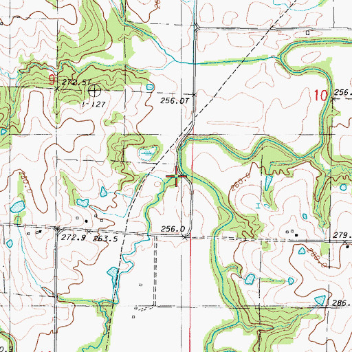 Topographic Map of Bee Creek, MO