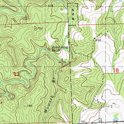 Topographic Map of Womack Branch, MO