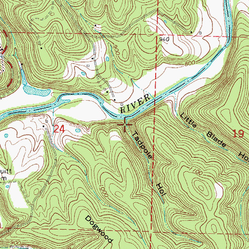 Topographic Map of Tadpole Hollow, AR